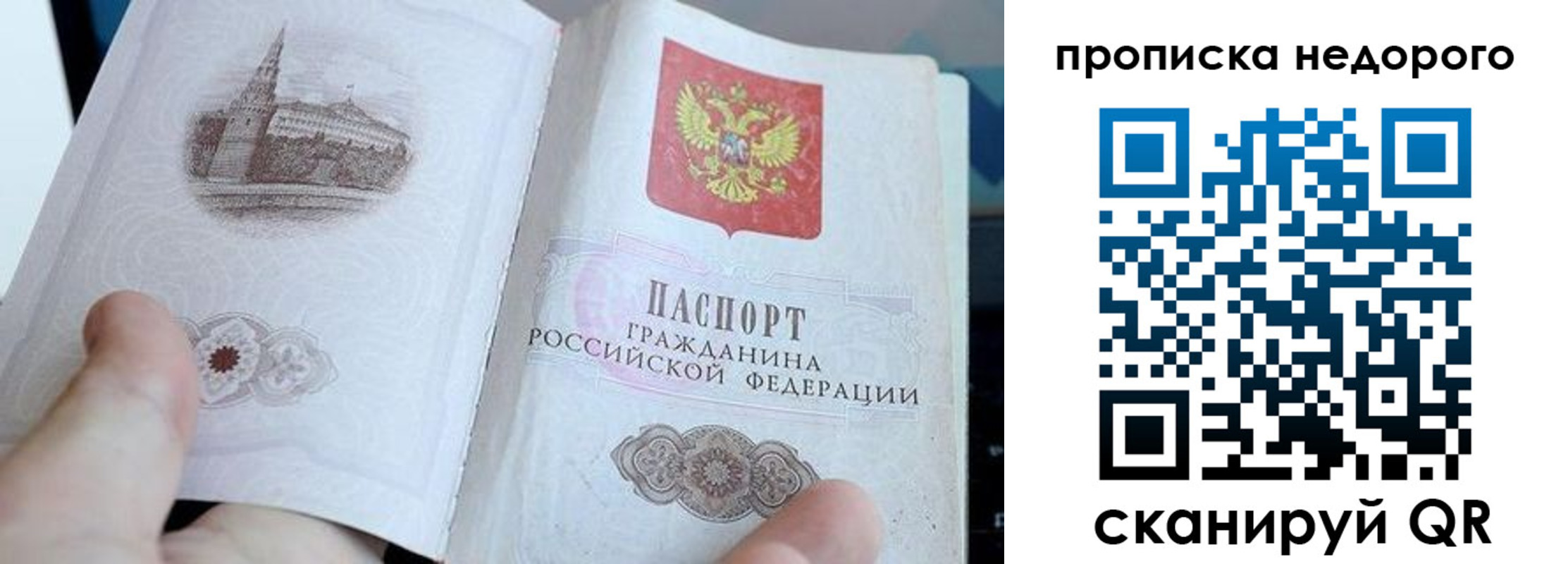 пропишу в квартире в Александрове